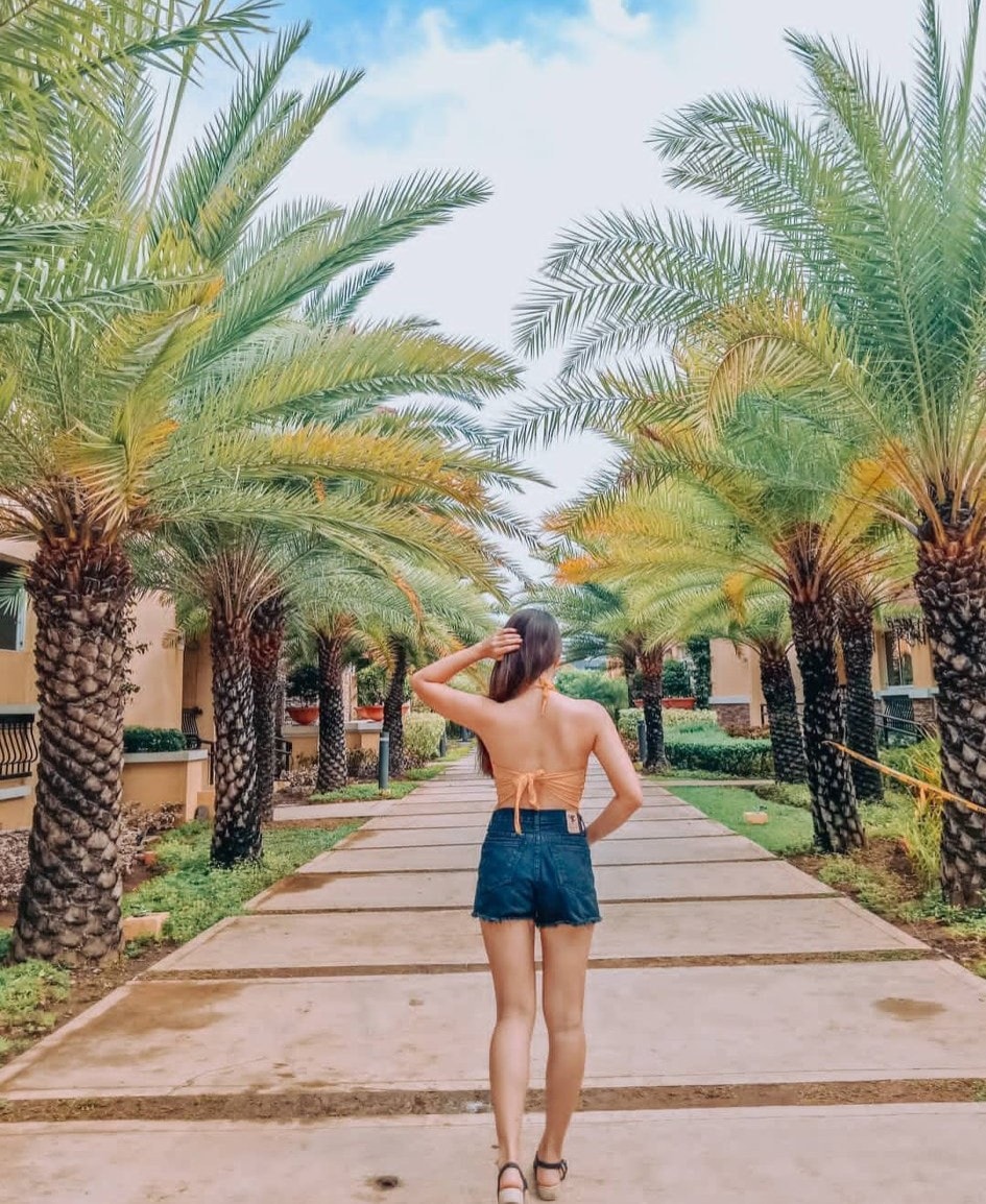 Palm-lined walkway between buildings